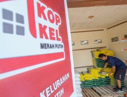 Jaga Stabilitas Harga, Pemerintah Guyur Pasar dengan Jutaan Ton Beras
