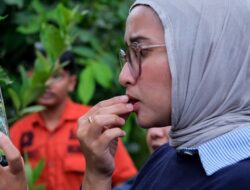 Buah Ajaib ‘Sulap’ Lemon Jadi Manis di Yogyakarta