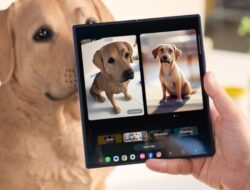 Asyik! Samsung Siap Sebar One UI 8 Beta untuk Galaxy S24, Z Fold6, dan Z Flip6