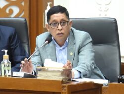 RUU Komoditas Strategis, Atur Singkong Hingga Tembakau
