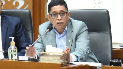 RUU Komoditas Strategis, Atur Singkong Hingga Tembakau