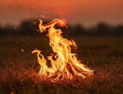 Api Rumput Kering Itu