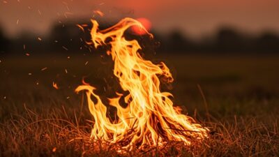 Api Rumput Kering Itu