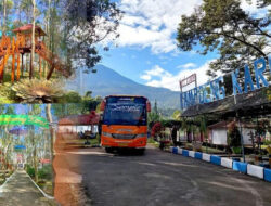 Diversifikasi Usaha, Holding Perkebunan Nusantara Optimalkan Kebun Karet Tak Produktif Jadi Agrowisata Edukatif