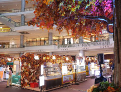 Autumn Foliage di PIK Avenue: Saat Warna-Warni Musim Gugur Hadir di Jakarta