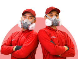 Fumida Perkenalkan Layanan Jasa Anti Rayap dengan Garansi Hingga 5 Tahun