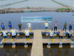 Tanam 16.000 Bibit Mangrove, PT Pelindo Solusi Logistik Perkuat Ekosistem Blue Carbon untuk Mitigasi Perubahan Iklim