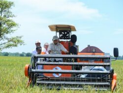 Prabowo-Gibran Setahun: Ekonomi Kuat, Empati Kebijakan masih Lemah