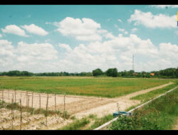 Kementerian PU Konsisten Gulirkan Program P3TGAI Dukung Pembangunan dan Ekonomi Nasional