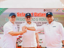 Holding Perkebunan Nusantara Dukung Keberlanjutan, PTPN IV Regional III Remajakan 949,6 Hektare Sawit Renta