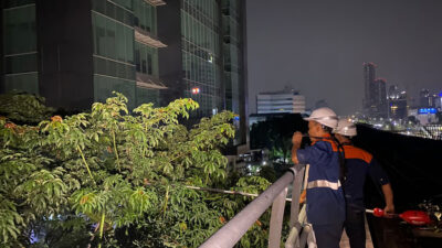 KAI Perkuat Keamanan Operasional LRT Jabodebek Lewat Perawatan Pepohonan di Sepanjang Jalur