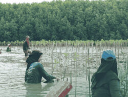 LindungiHutan Dorong Aksi Komunitas di Pantai Bahagia, Bekasi