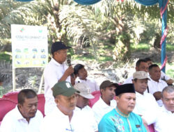 PalmCo, Subholding Holding Perkebunan Nusantara, Jadi “Pahlawan Baru” Ekonomi Rakyat