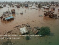 Menutup Tahun, LindungiHutan Dorong Solusi Berbasis Alam Hadapi Tantangan Iklim