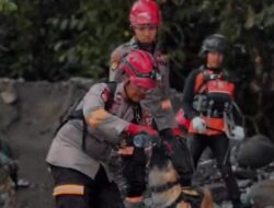 K-9: Pahlawan Berjanggut, Kisah Sejati di Balik Lensa Bencana