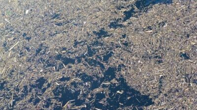 Bareskrim Telusuri Sumber Kayu Gelondongan Pasca Banjir di Sumatra