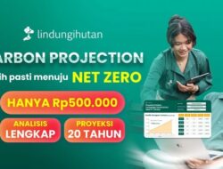 LindungiHutan Luncurkan “Carbon Projection”, Fitur Perhitungan Serapan Karbon Jangka Panjang