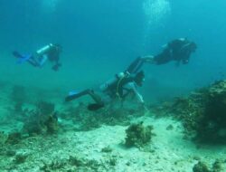 Kemenpar Bidik Pasar Australia, Promosikan Raja Ampat Destinasi Selam Premium