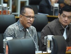 DPR Desak Usut Tuntas Penyelundupan Bawang Bombay