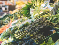 Kebiasaan Belanja yang Membuat Pengeluaran Membengkak