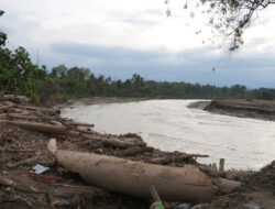 Cegah Abrasi Meluas, Kementerian PU Lakukan Penguatan pada Tebing Sungai Krueng Tiro di Pidie