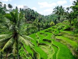 Bali Raih Predikat Destinasi Wisata Terbaik Dunia 2026