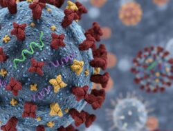 Kemenkes: Flu H3N2 Subclade K tidak Lebih Ganas