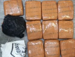 Polda Metro Jaya Gagalkan Peredaran 10 Kilogram Ganja di Grogol