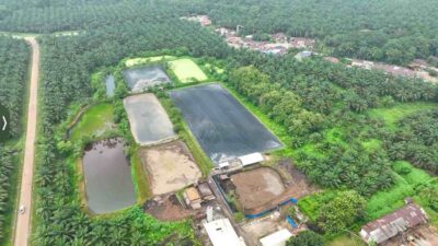 Hadapi Gejolak Energi Global, Holding Perkebunan Nusantara Andalkan PLTBg PalmCo