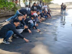 Peduli Lingkungan, Pegadaian Kanwil VII Denpasar Dukung Pelestarian Penyu