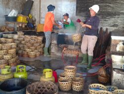 KUR BRI Dongkrak Usaha Pemindangan di Kusamba, Produksi Tembus 300 Keranjang per Hari