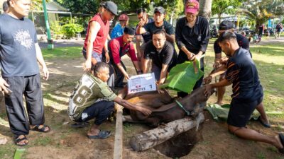 Discovery Kartika Plaza Hotel Salurkan Hewan Kurban untuk Masyarakat Bali dan Lombok