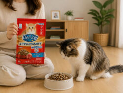 Dry Food Kucing yang Bagus untuk Kesehatan dan Nutrisi Anabul
