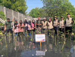 KAI Logistik Lanjutkan Komitmen Keberlanjutan melalui Penanaman 270 Bibit Mangrove