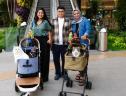 Main Bareng Anabul Di Grand Galaxy Park yang Cat Friendly