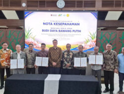 PTPN Group Akselerasi Swasembada Bawang Putih Nasional
