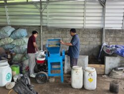 Pelindo Kelola 31,65 Ton Sampah di Ring 1 Pelabuhan Benoa