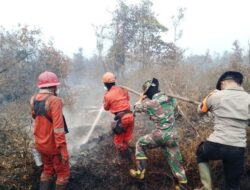 Hotspot Karhutla Anjlok Drastis ke Angka 317 Titik