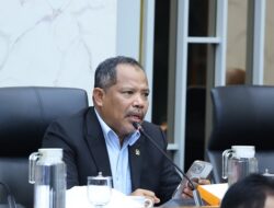 Sentil Penanganan Karhutla, DPR: Padamkan Api, Jangan Banyak Alasan