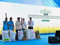 Produksi Beras Tembus 34 Juta Ton, Indonesia Klaim Swasembada Lebih Cepat